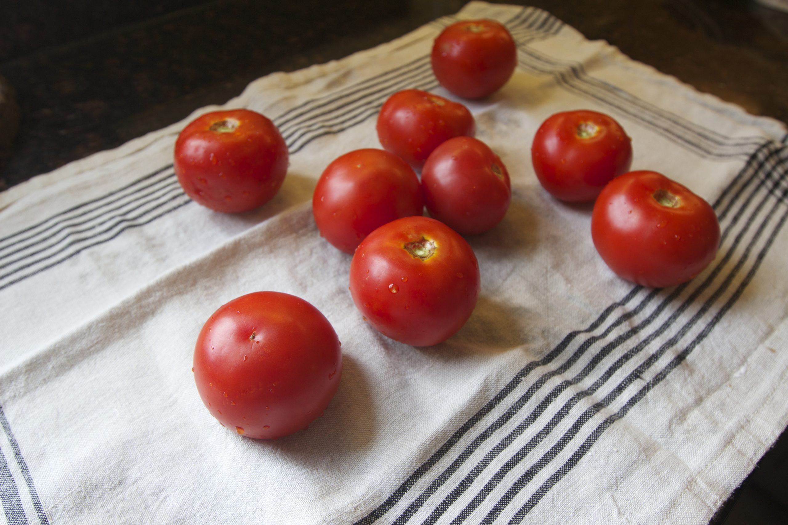 Easy, Kid Friendly Roasted Tomatoes Recipe // Annabode.com
