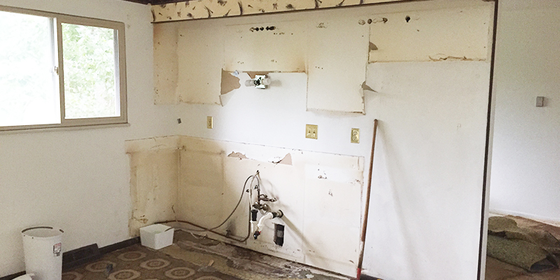 Kitchen Reno: Part II (Demo Day)