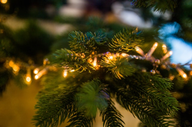 Sustainable Holiday Decor Lights